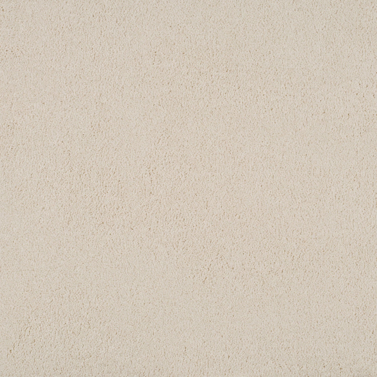 White Ivory