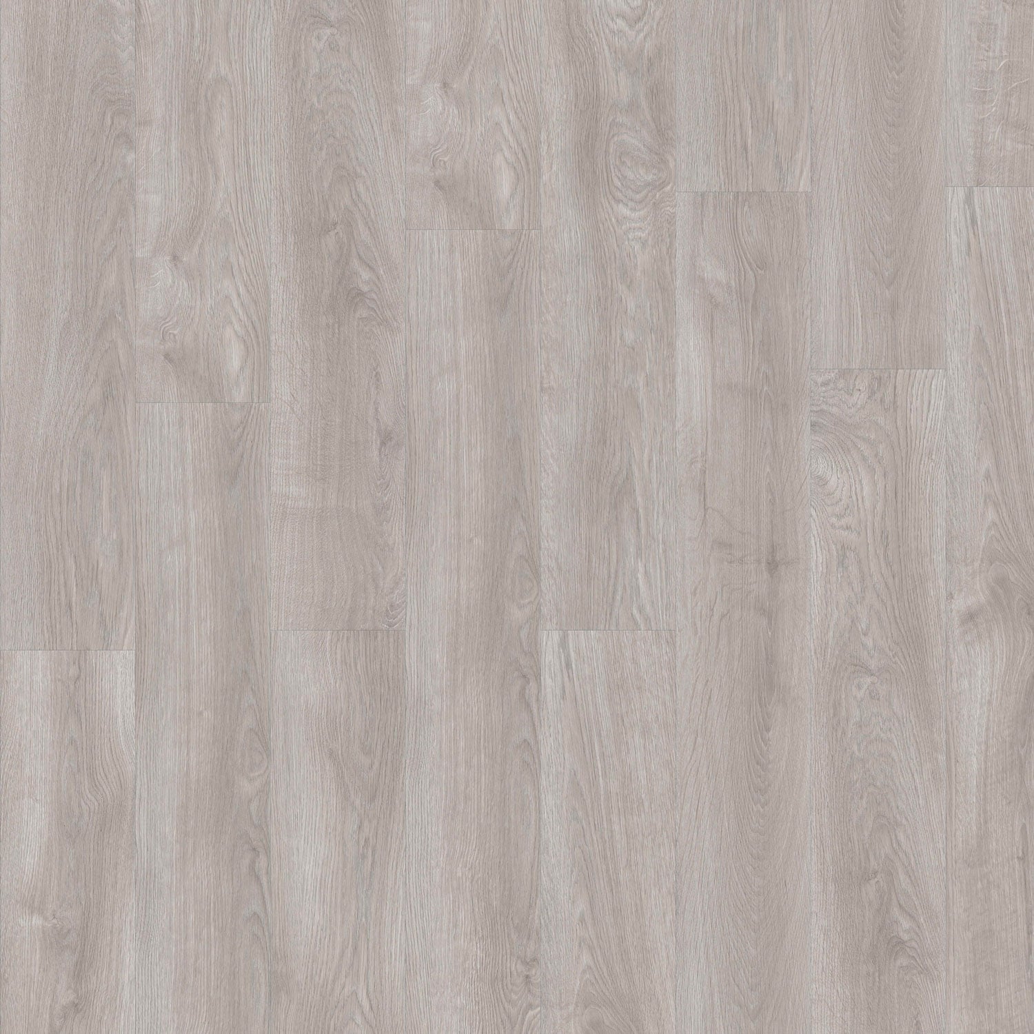 Monterey Oak