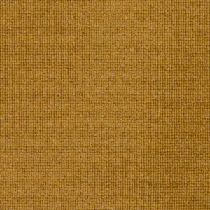 Mustard Seed