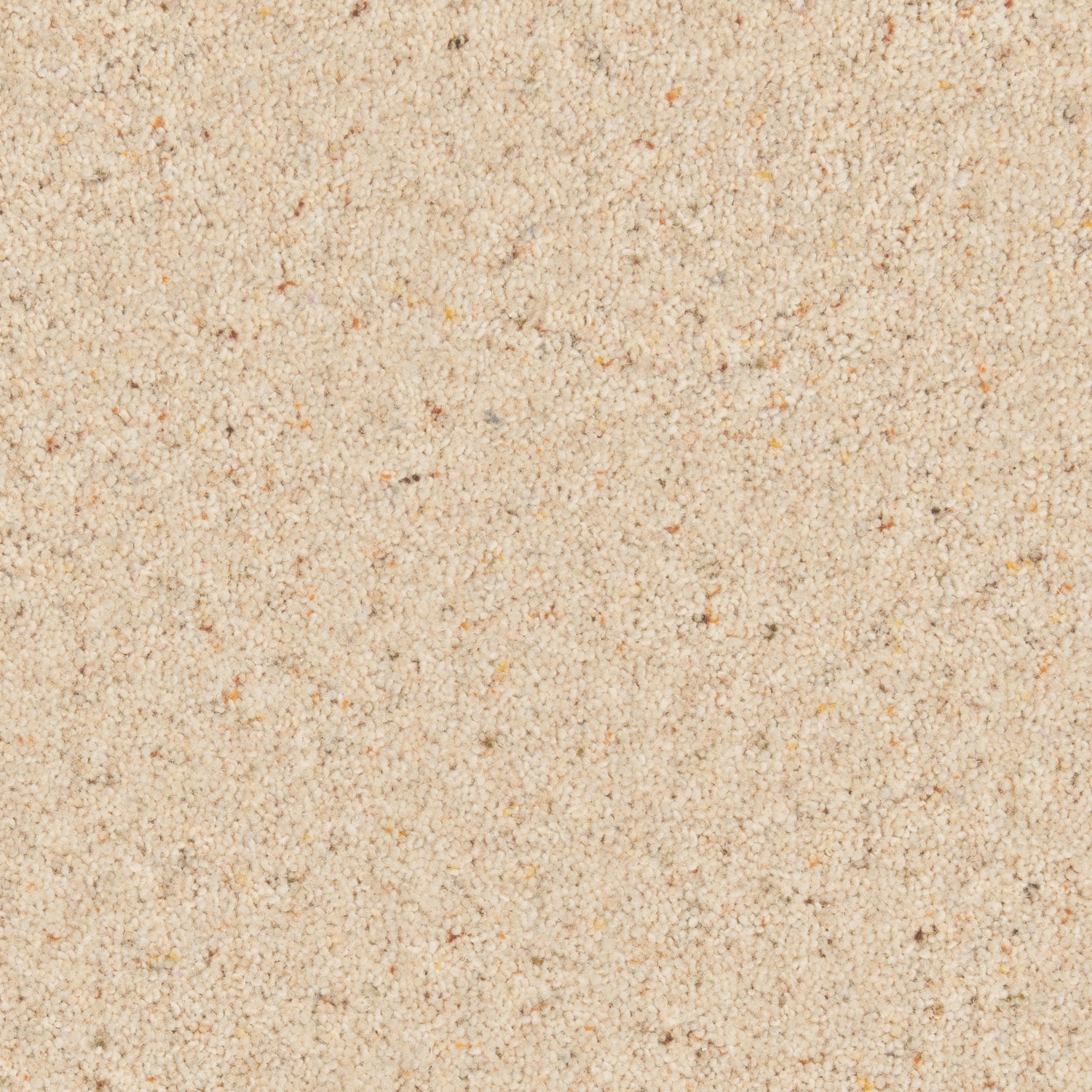 Parchment