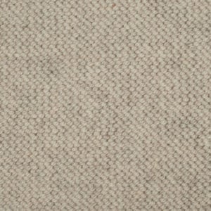Warm Beige