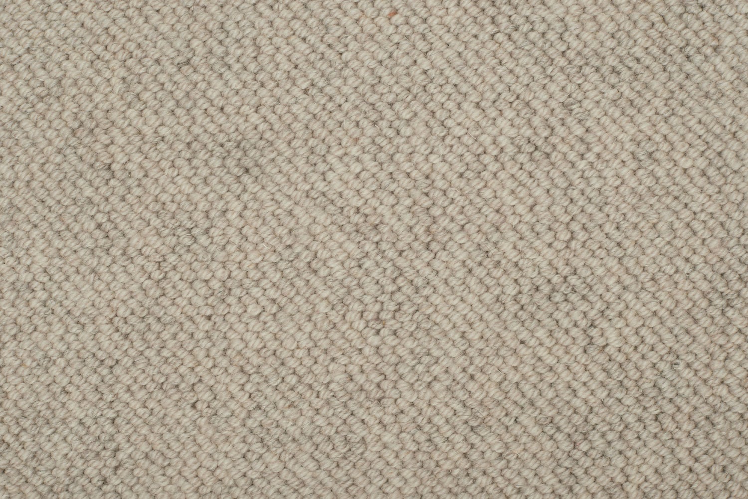 Warm Beige