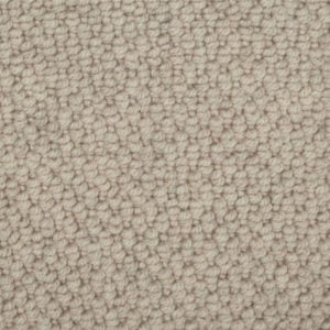 Warm Beige