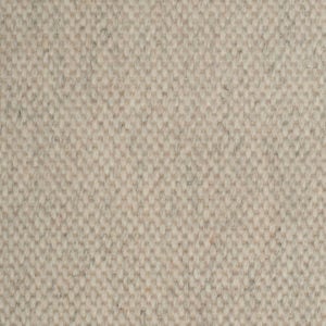 Warm Beige