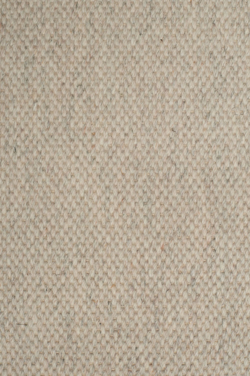 Warm Beige