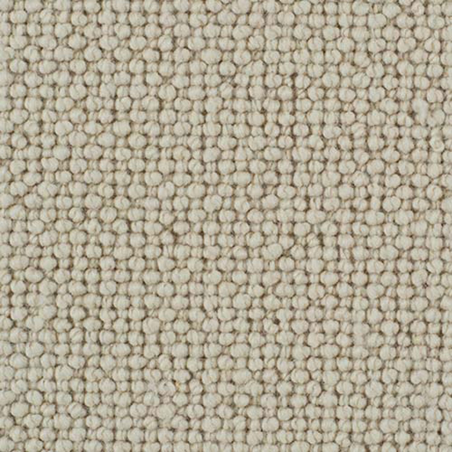 Parchment