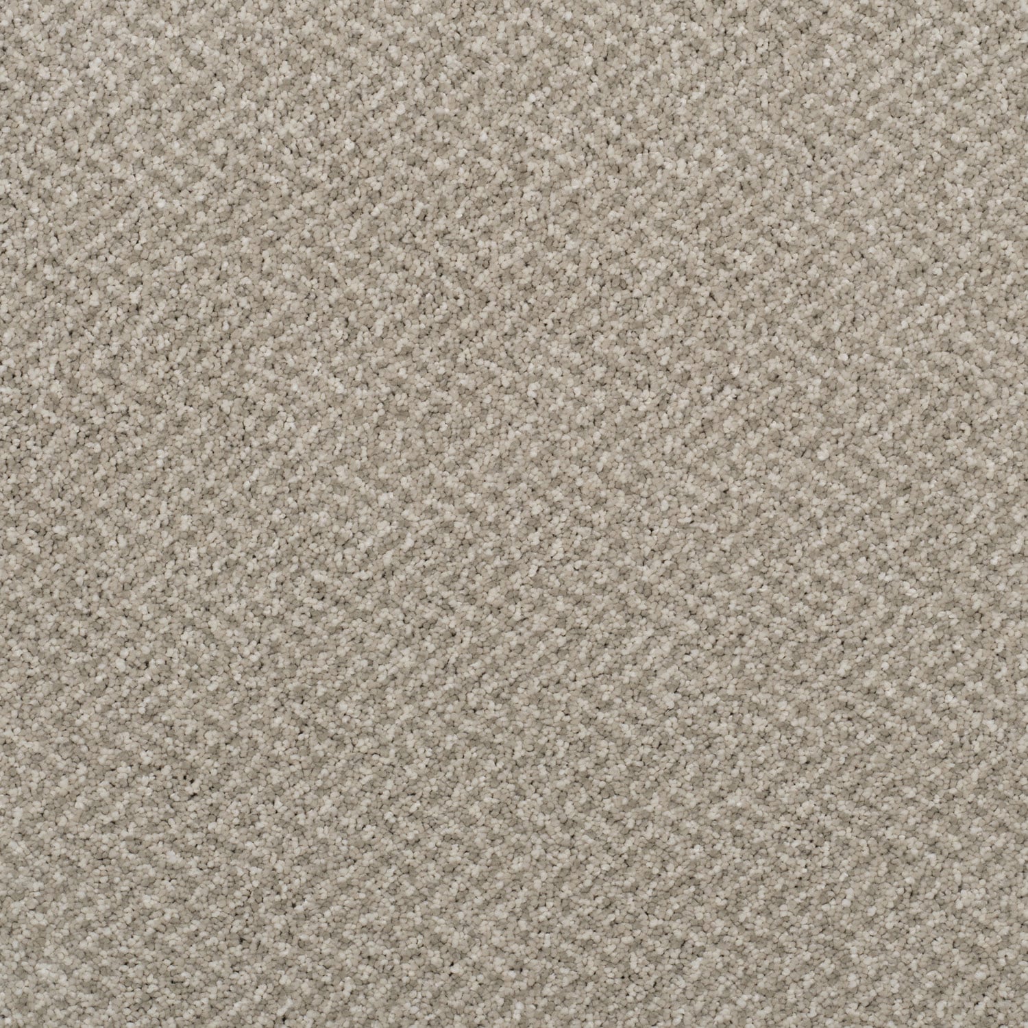 Sunlit Sand