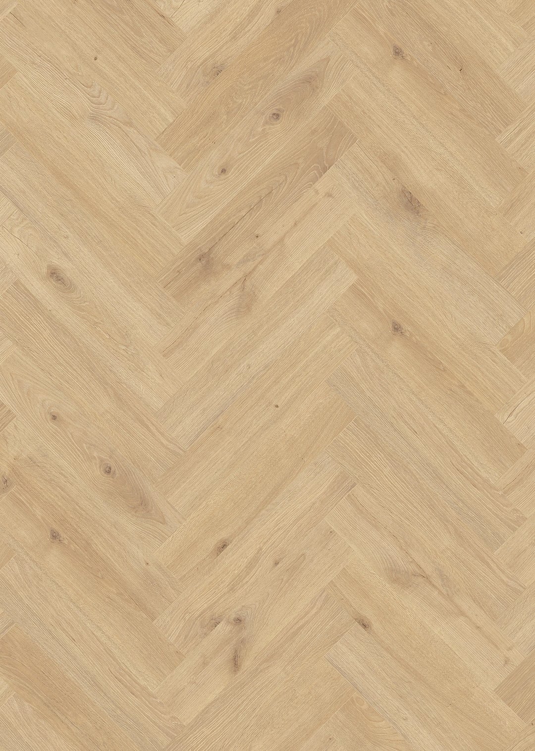 Oak Beige