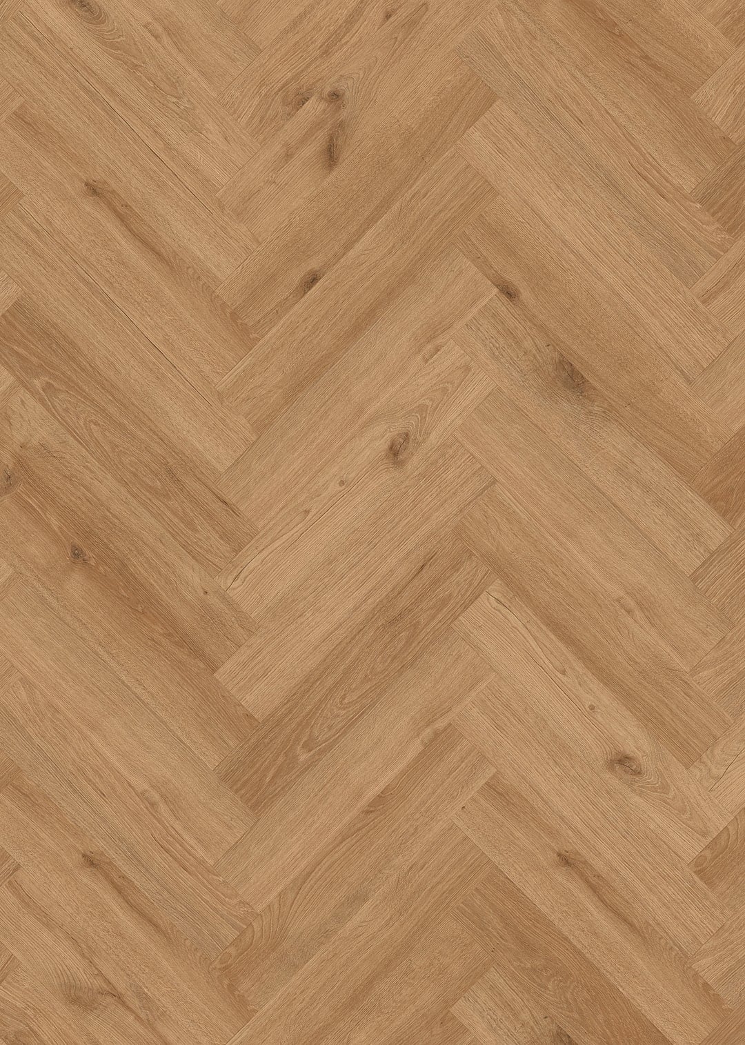 Oak Ligh Brown