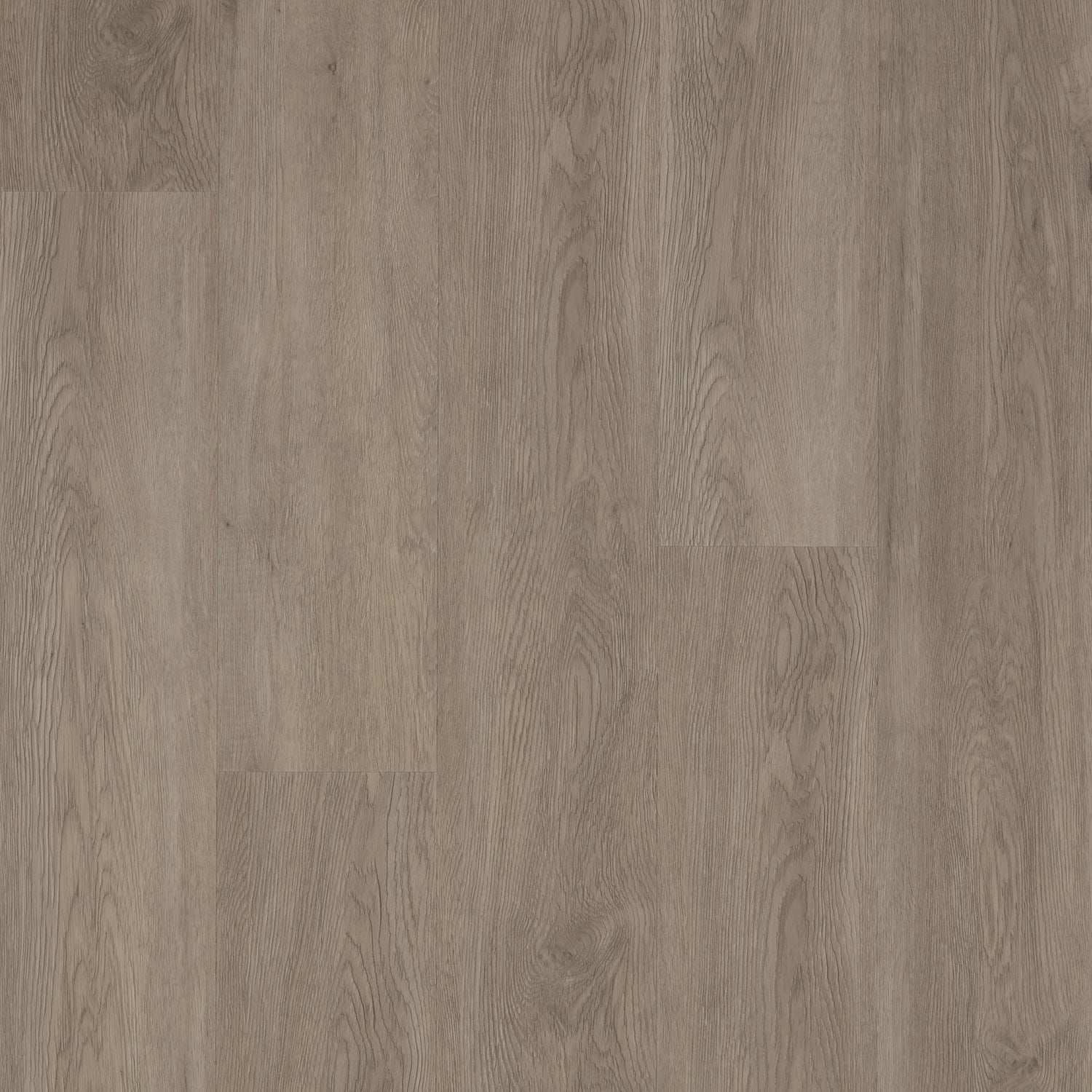 Aged Oak