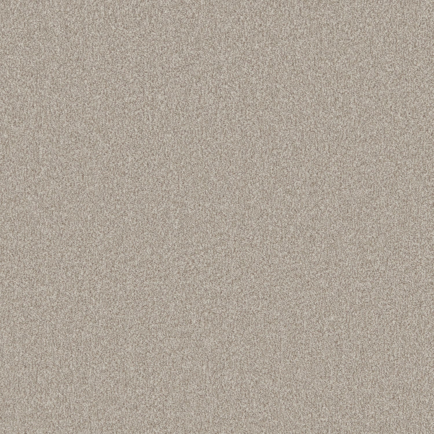 Bankside Beige