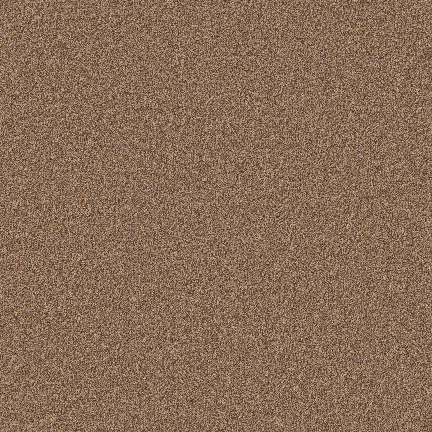 Pecan