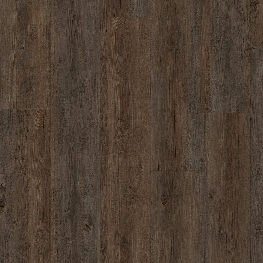 Springdale Pine