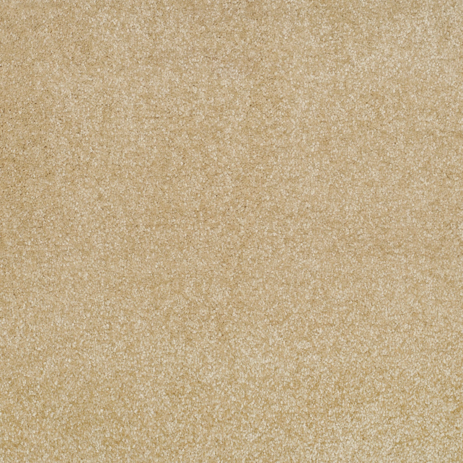Pale Oat
