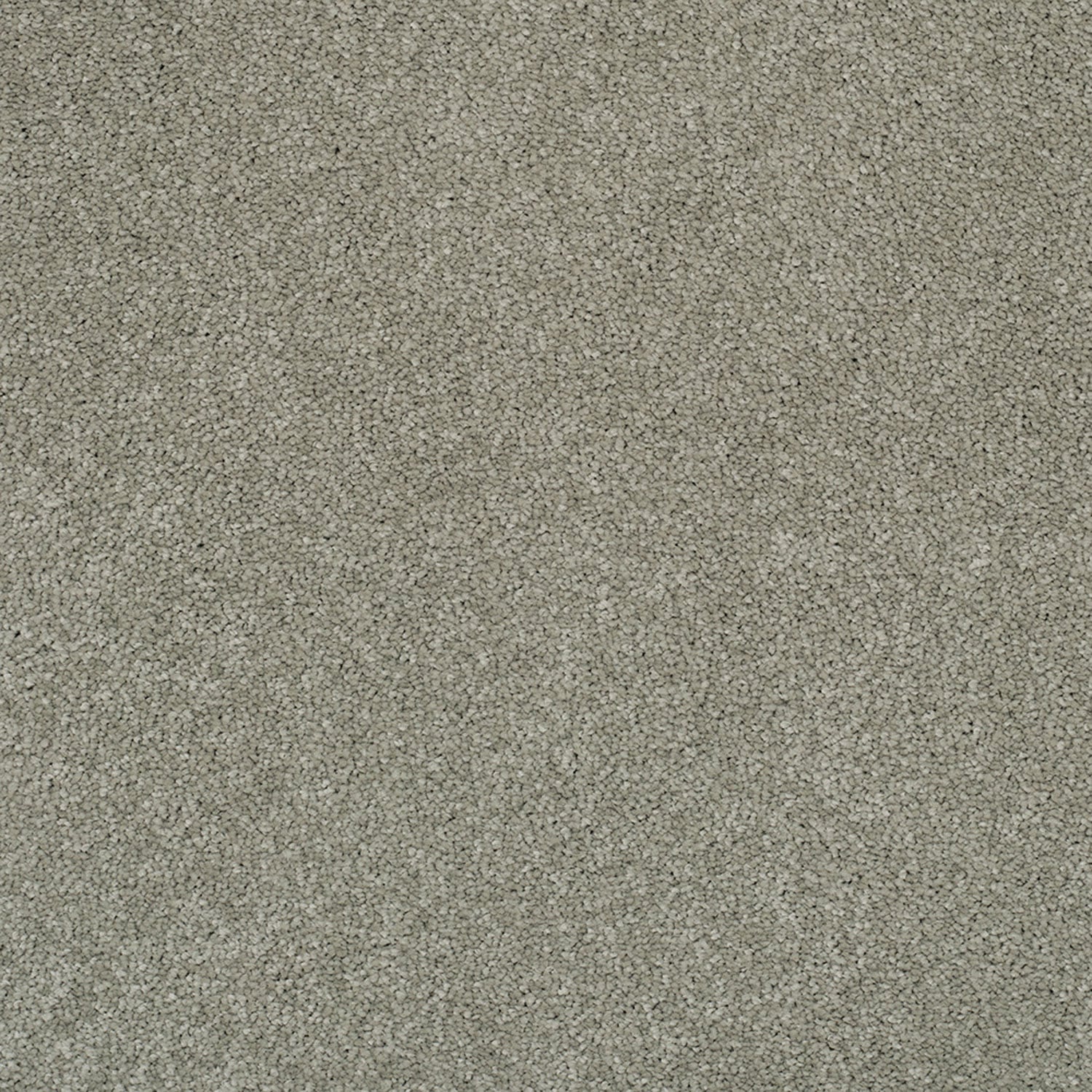 Arctic Green