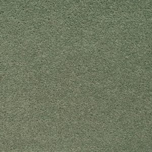 Eucalyptus