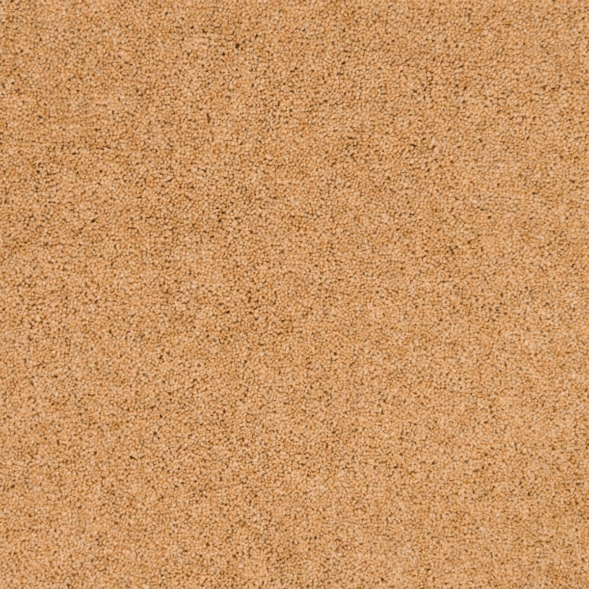 Brenan