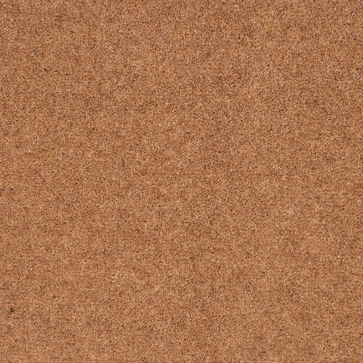 Gilroe