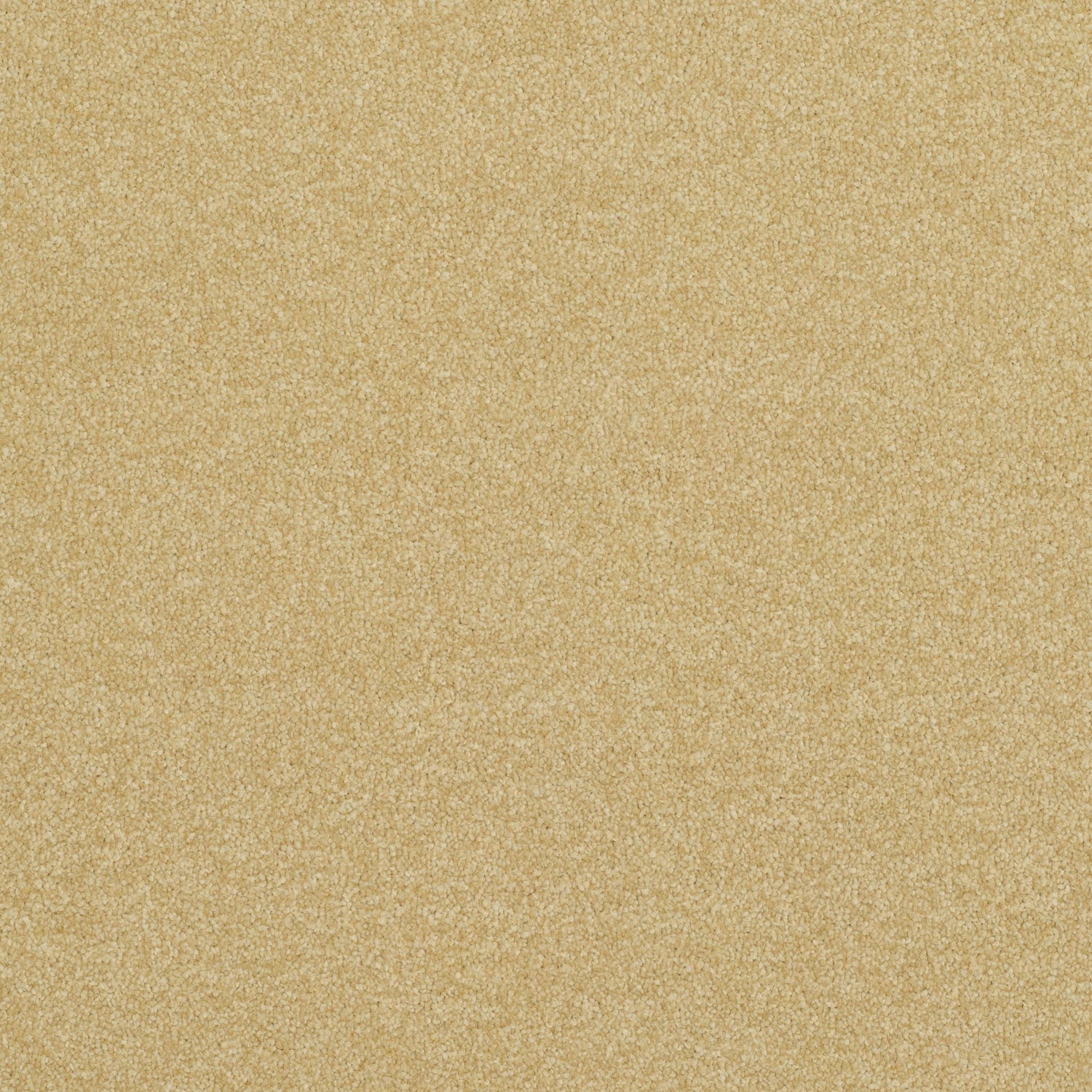 Glorious Gold