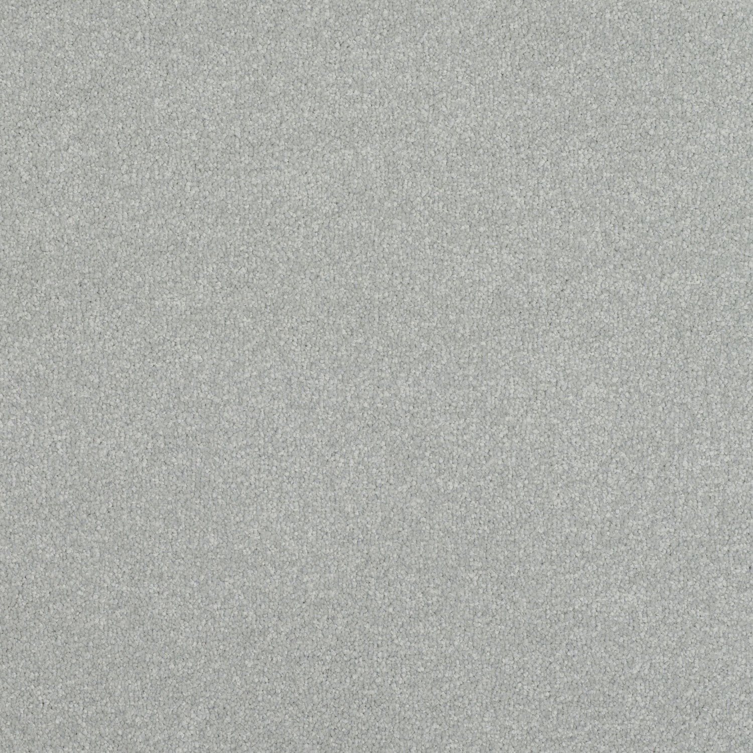 Silverpoint