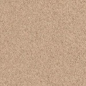 Cocoa Mist