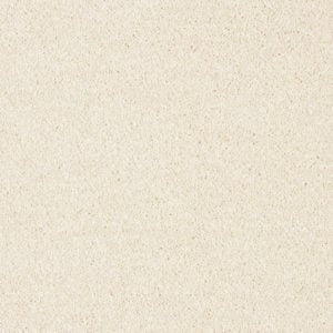 03 - Ermine