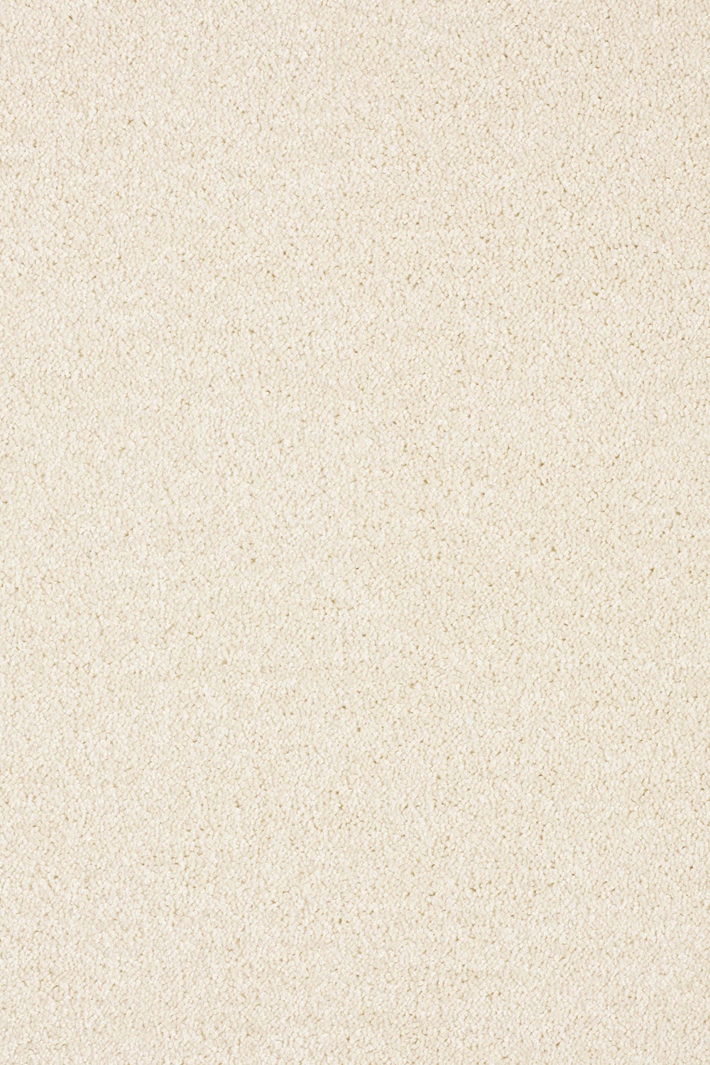 03 - Ermine