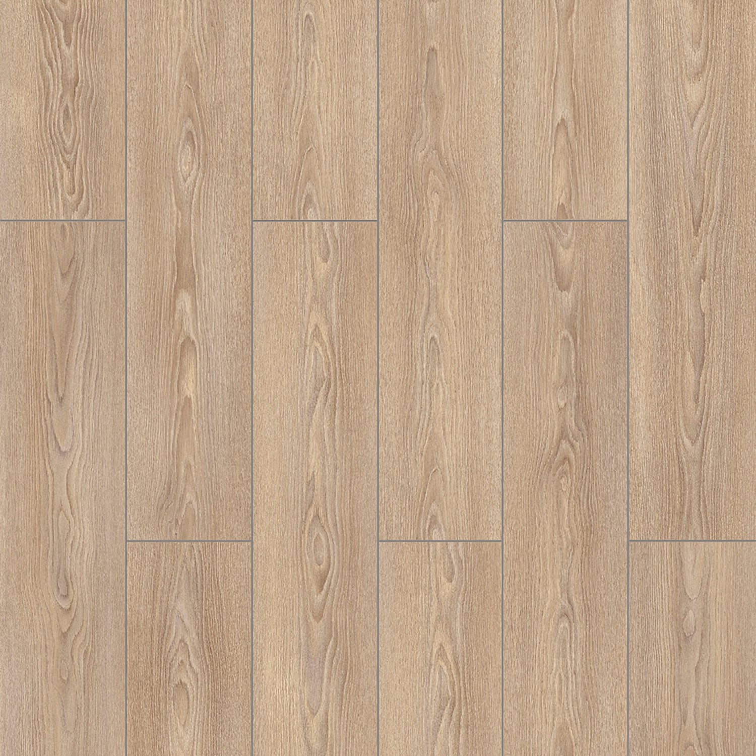 Danube Oak