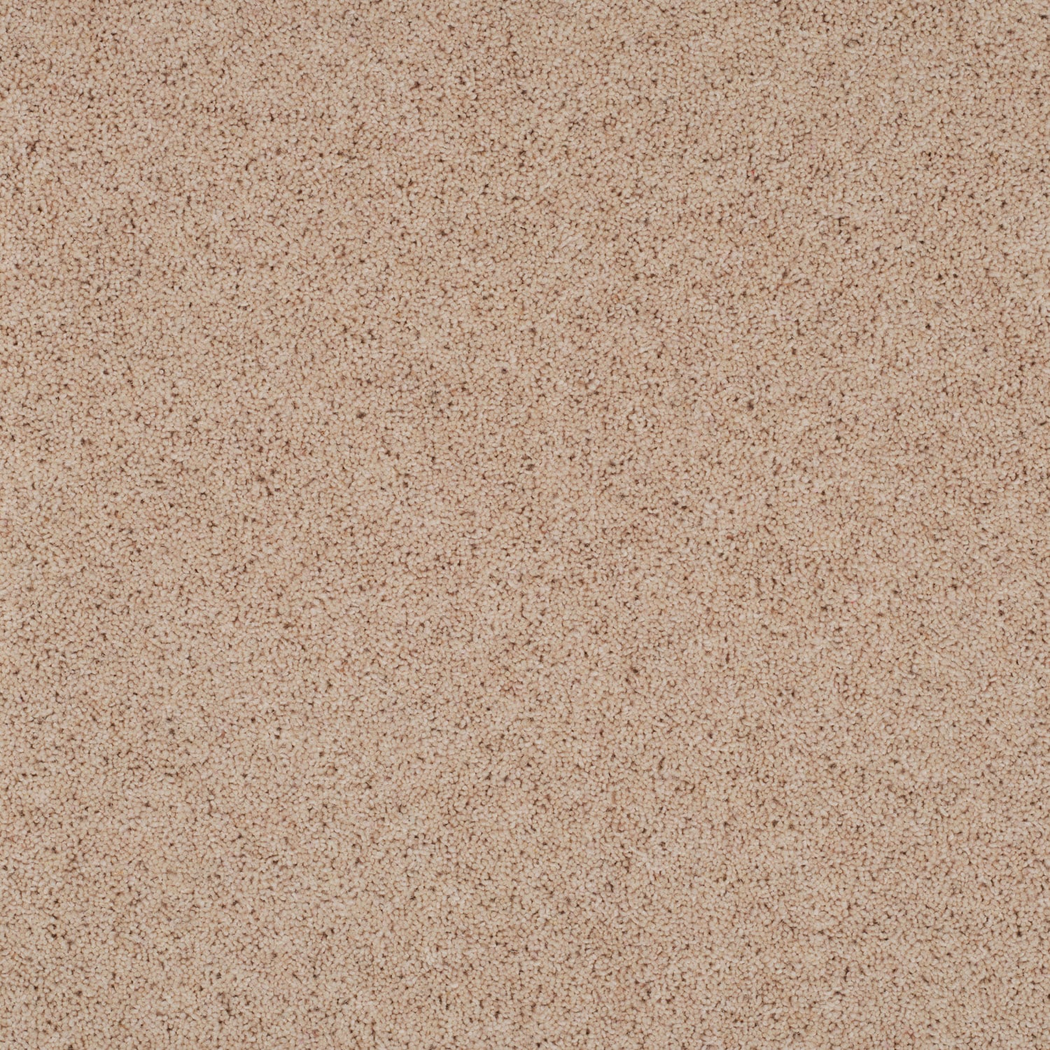 Rye