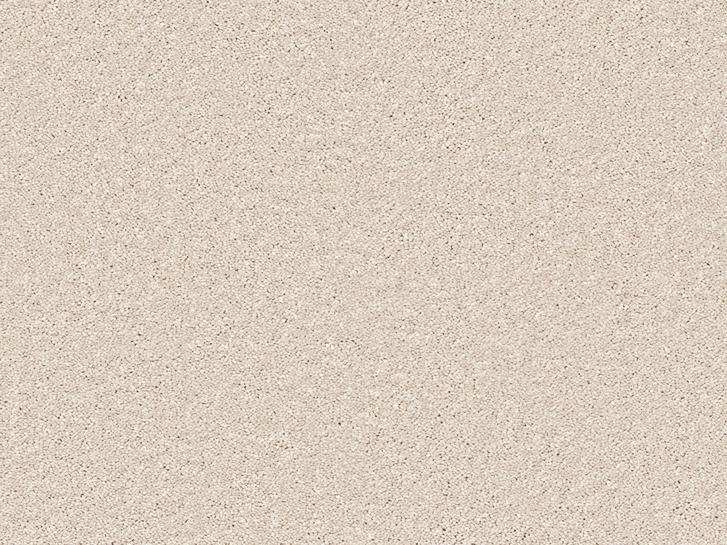 Seashore