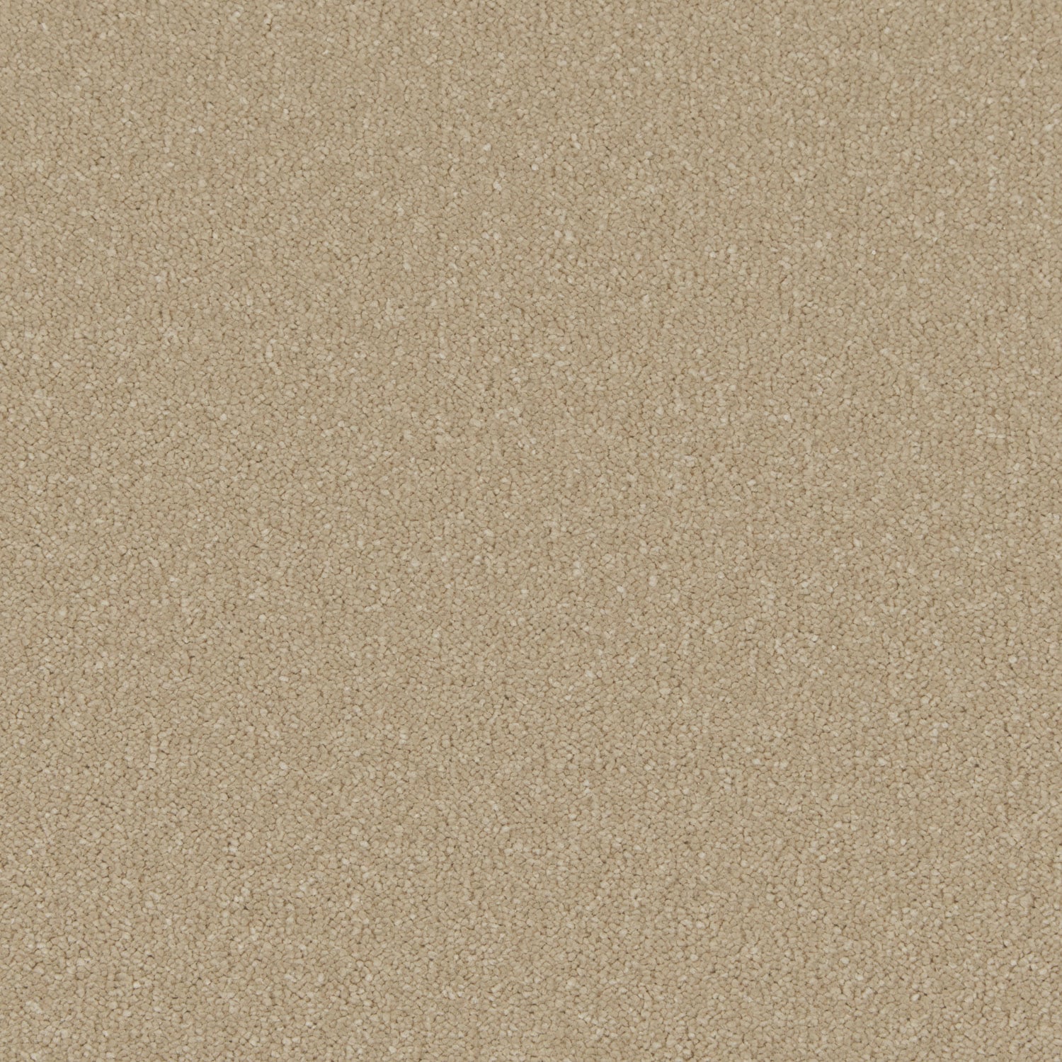 Malt