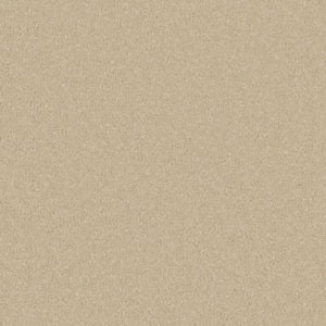Sand Dune