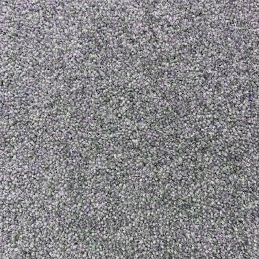 Tor