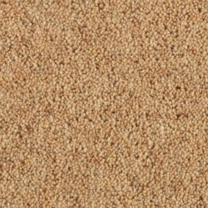 Arrowroot