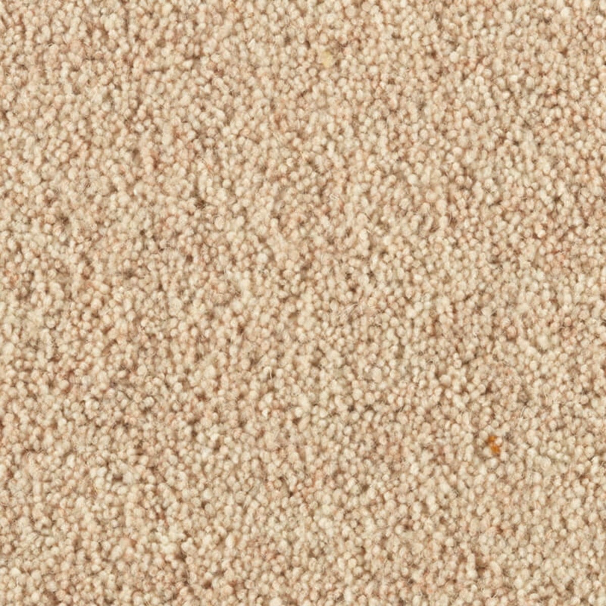 Vellum