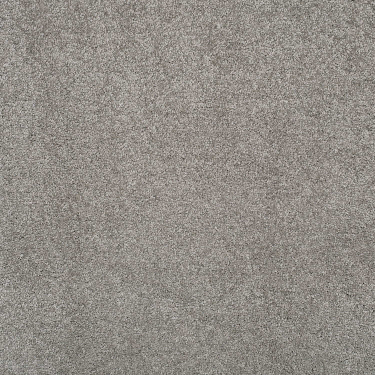 Silver Sage