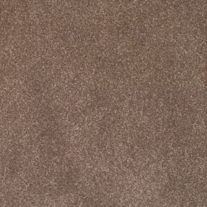 Sahara