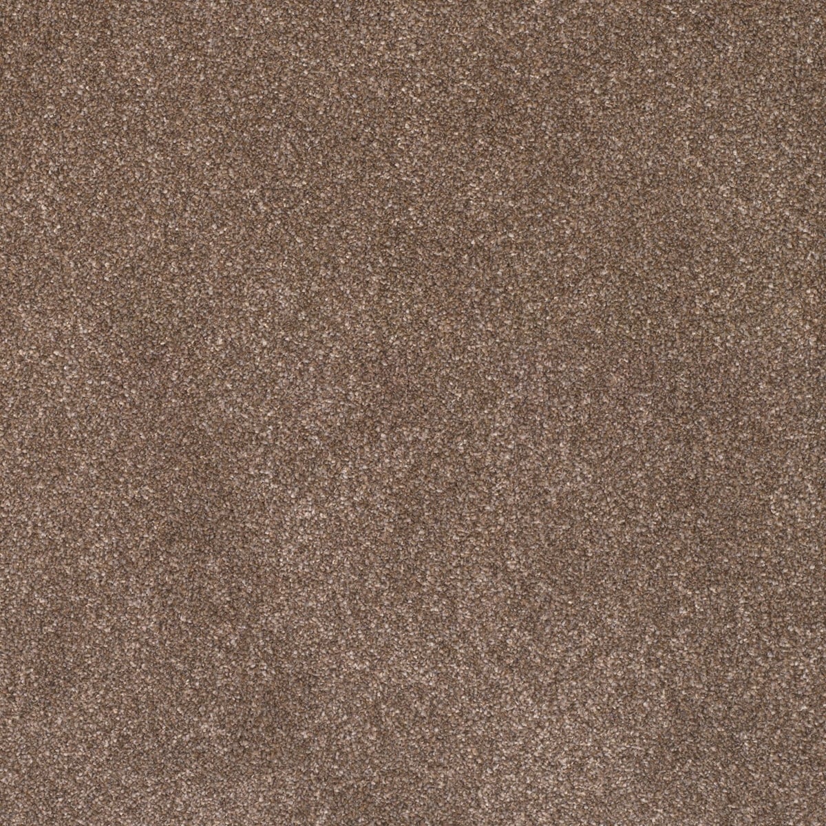 Sahara