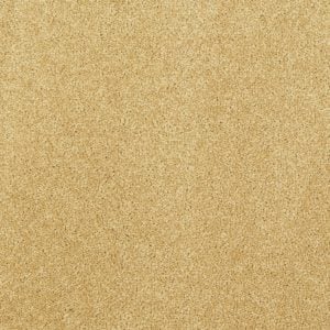 Sand Dune