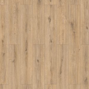 Sand Oak
