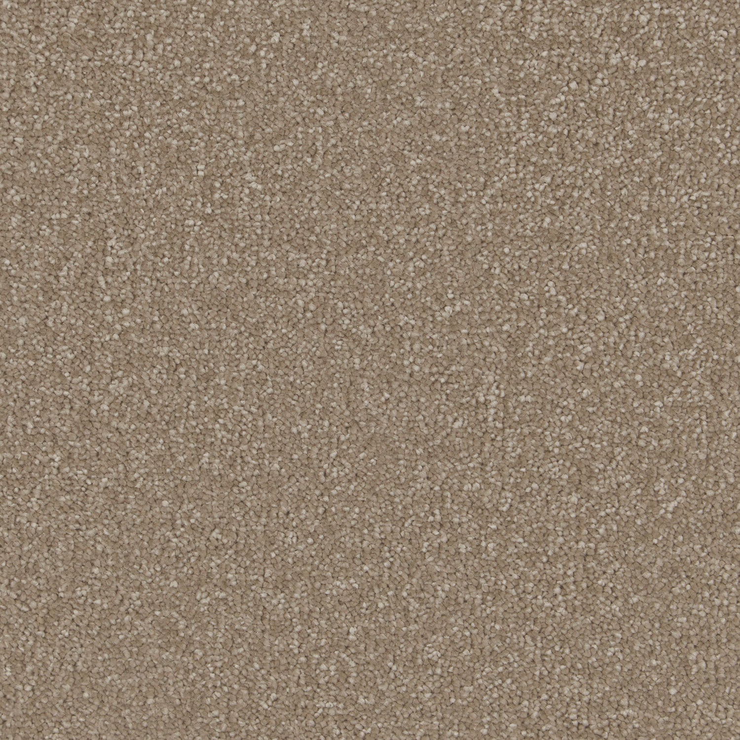 Laight Taupe