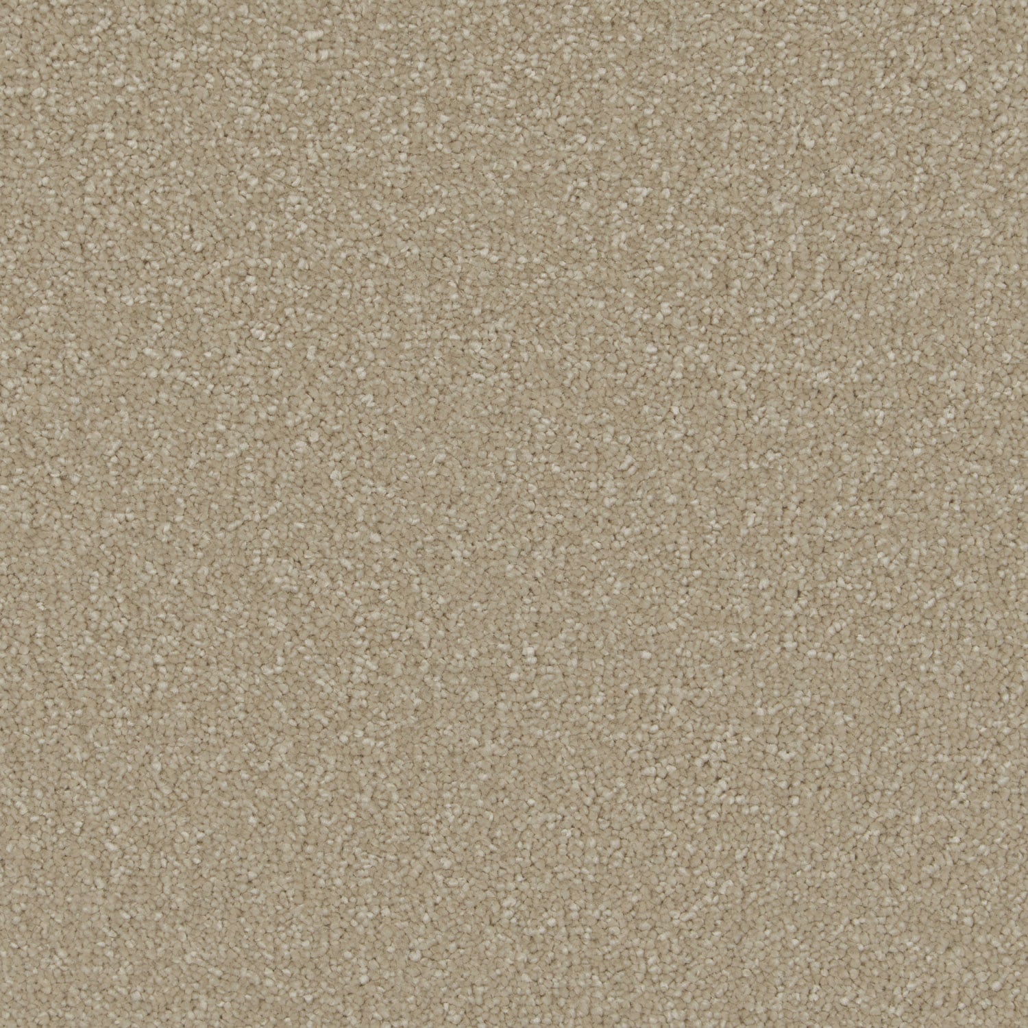 Monterey Sand