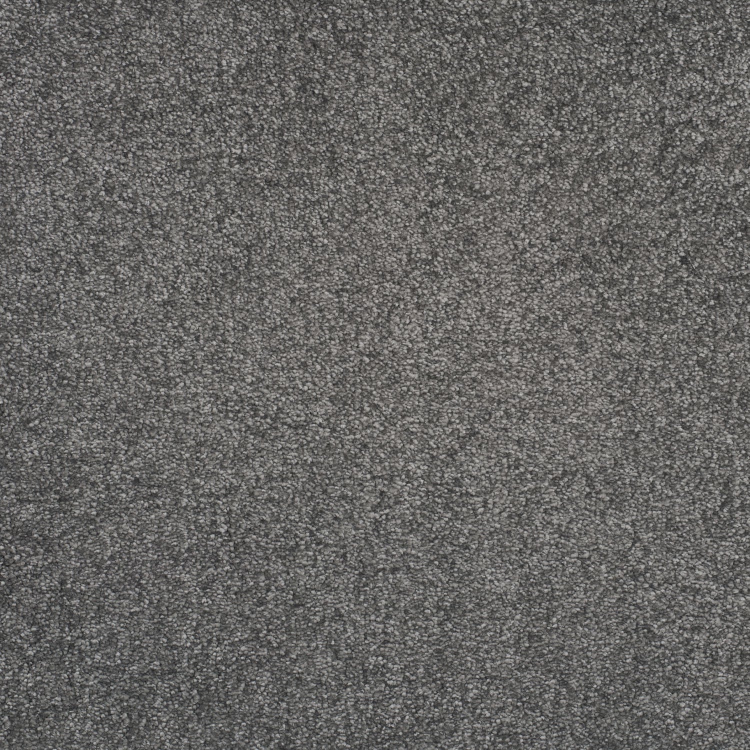 Shadow Grey