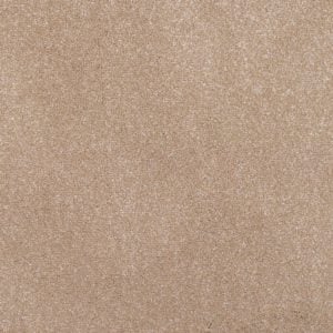 Shingle