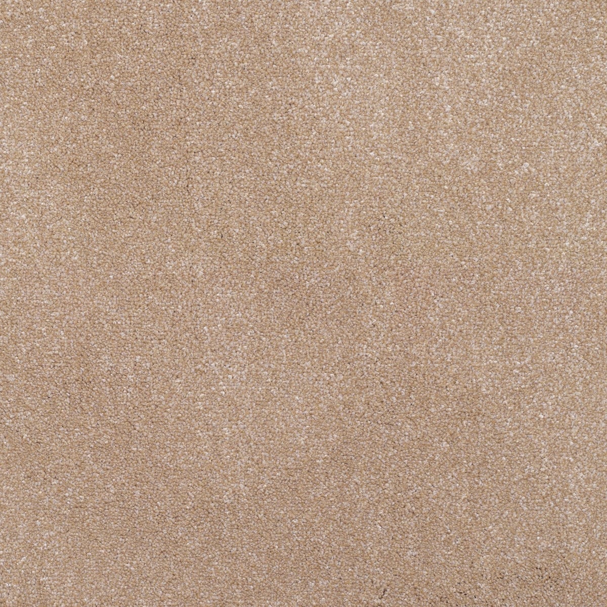 Shingle
