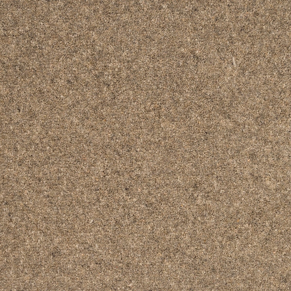 Clay