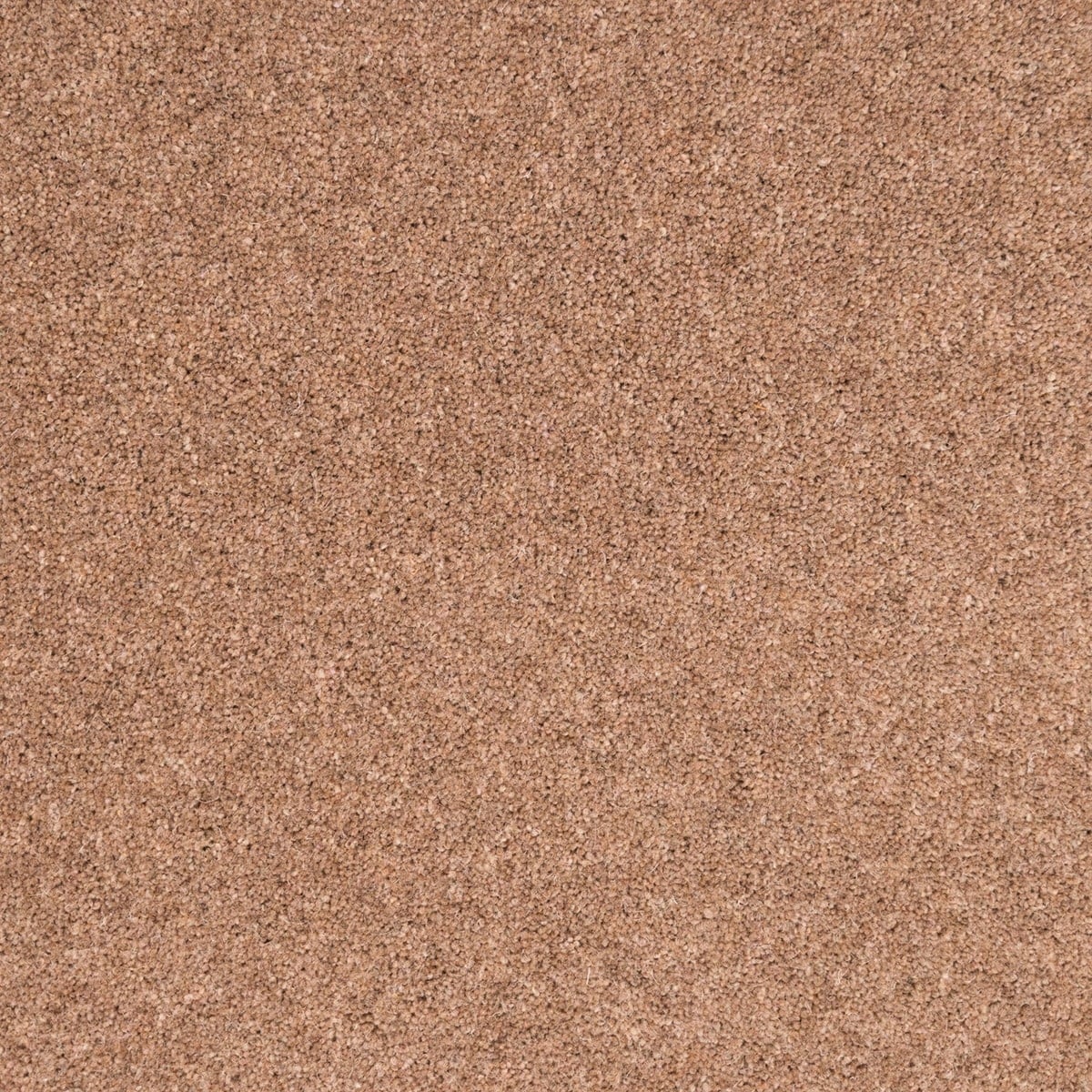 Teak