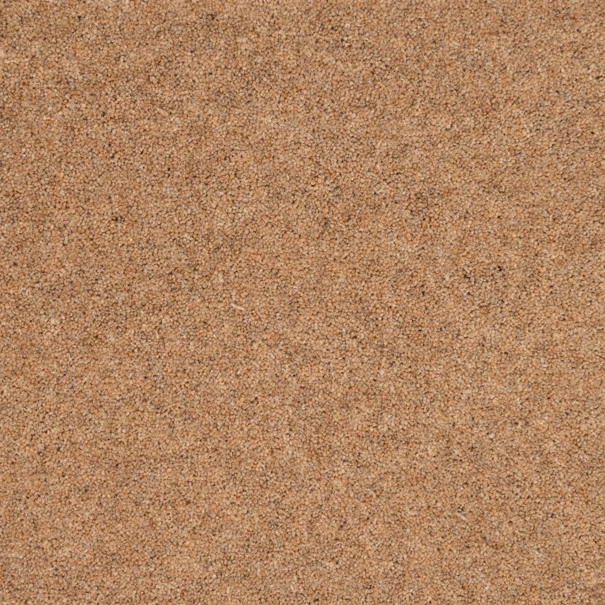 Cumin