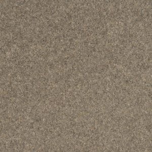 Greylag