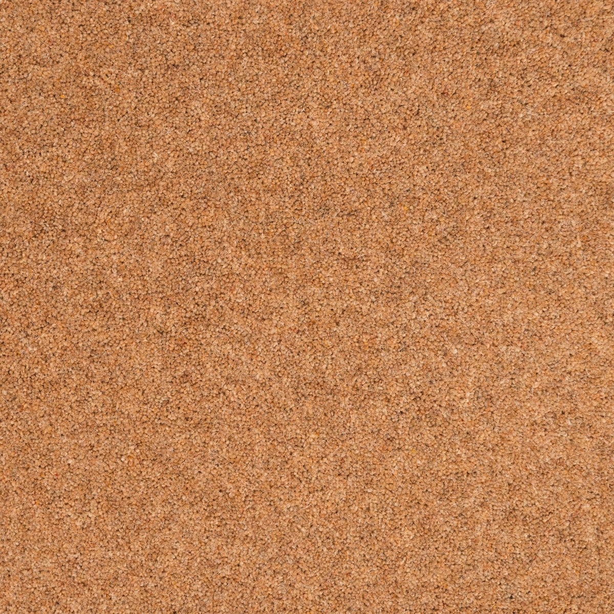 Tamarind